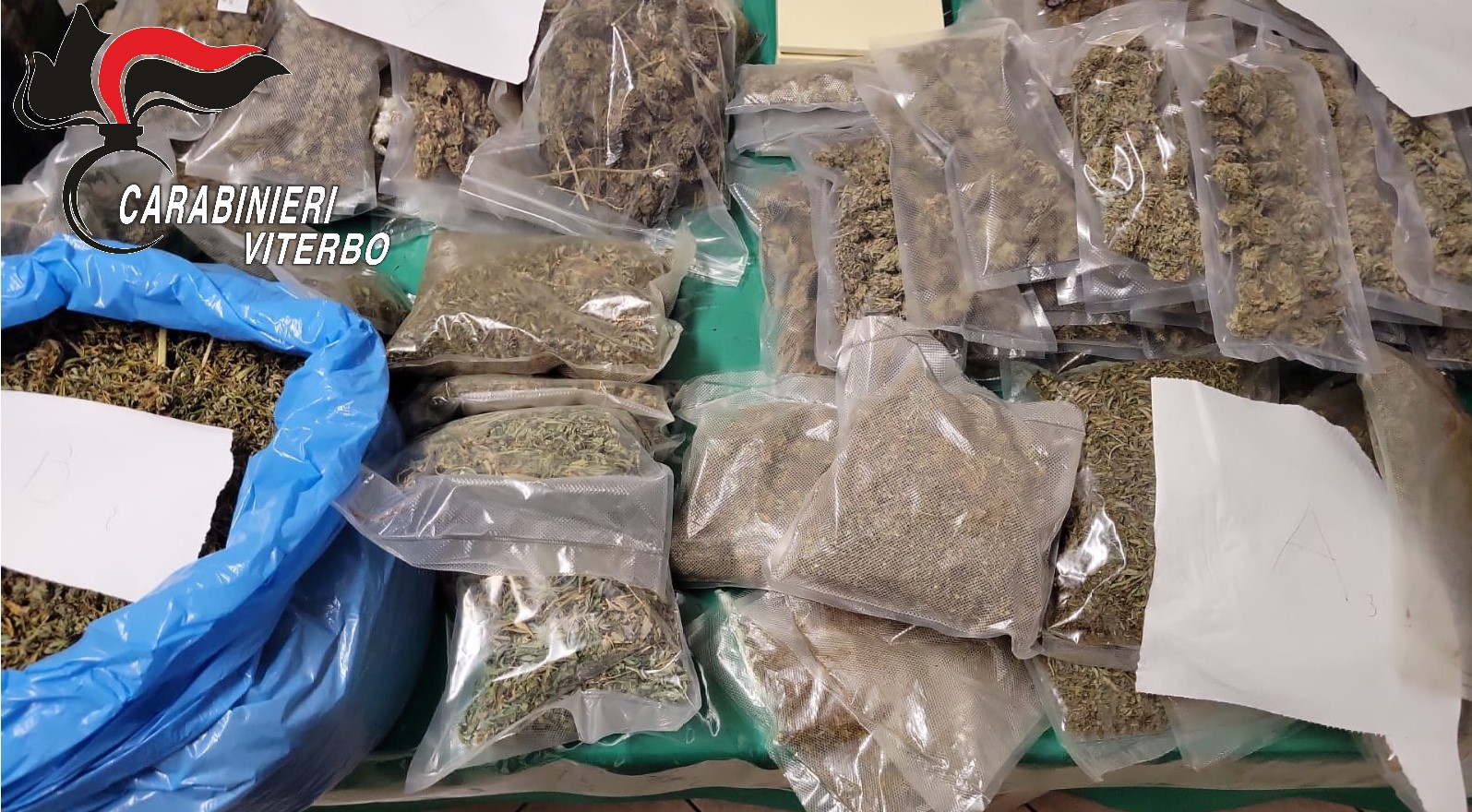 Soriano nel Cimino – Residui di marijuana in auto, nelle sue abitazioni ne vengono scovati 10 chili (FOTO)