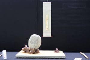 L’antica arte del bonsai in mostra a Tarquinia