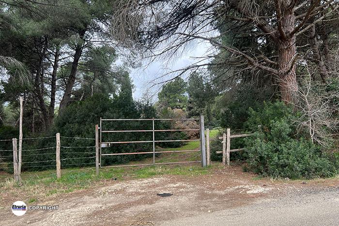 Tarquinia – Blitz della Finanza nei boschi della Roccaccia, arrestati diversi pusher (VIDEO)