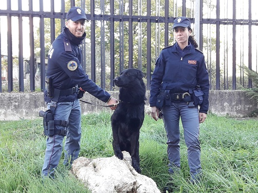 Progetto “scuole sicure” della polizia, controlli a Ceccano e Sora
