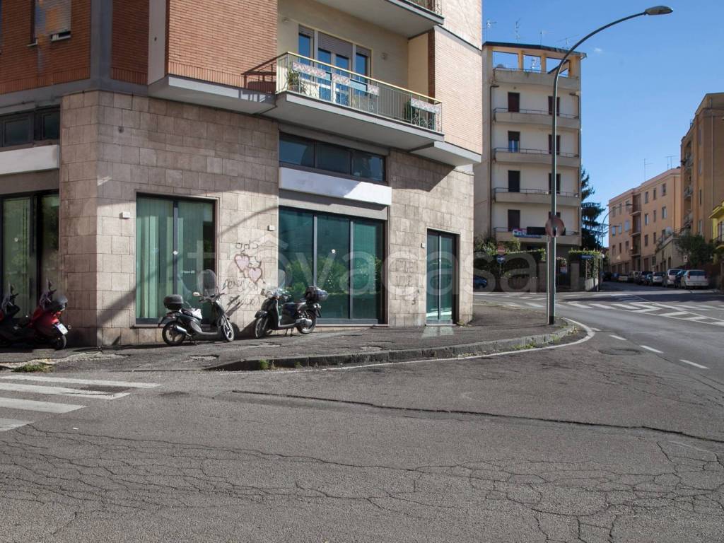 Viterbo – Prova di stabilità dei pini, chiuse al traffico via Vicenza e via A.Volta