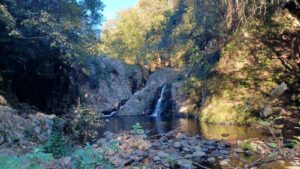 Cerveteri – Carabinieri rintracciano e soccorrono due donne disperse nei boschi di Monte La Guardia