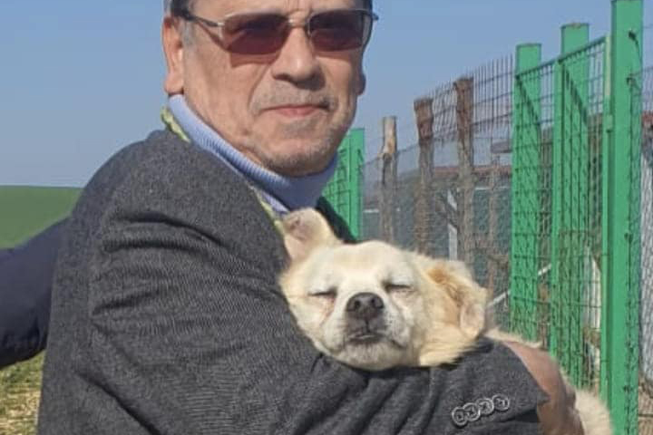 Tuscania – In canile da tutta la vita, dopo 7 anni Golia viene adottato