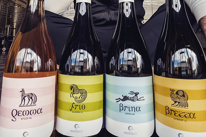 Tarquinia – Cantine Prima Luce, un nuovo punto di riferimento per i vini della Tuscia