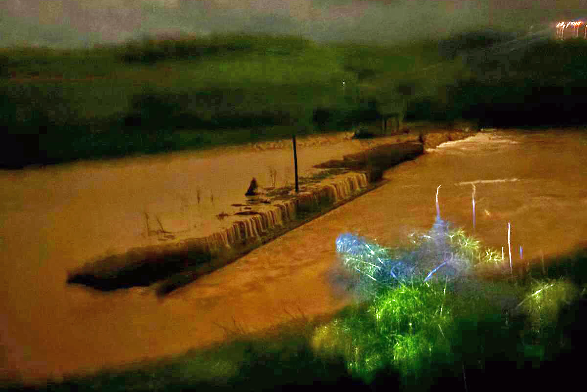 Tarquinia – Esonda nuovamente il Mignone, alcune persone evacuate nella notte (FOTO)