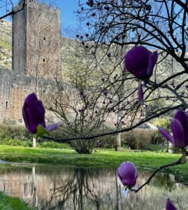 Con la fioritura di primavera riapre il Giardino di Ninfa