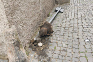 Tuscania – Vandali in azione a Largo Indipendenza, scatta il divieto di assembramento dalle 21 alle 7