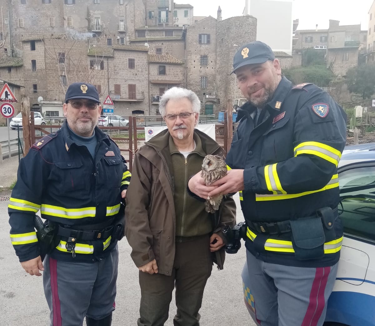 Montalto – La Polizia salva un gufo in pericolo sull’Aurelia