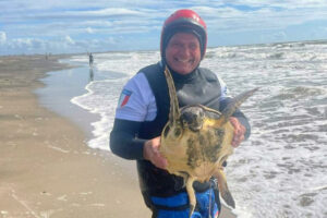 Ladispoli – Il kitesurfer Massimo Cacciamani salva una tartaruga intrappolata tra le reti da pesca