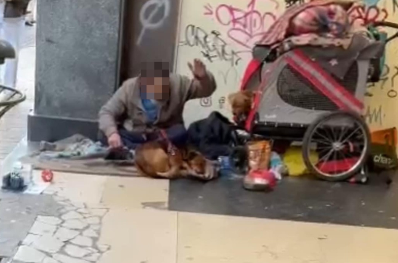 Clochard ubriaco picchia i suoi cani, clinica veterinaria glieli toglie ma poi li riporta perché “non feriti gravemente”