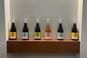 Tarquinia – Successo per i vini di Cantine Prima Luce, in tanti alla presentazione delle nuove etichette (FOTO)