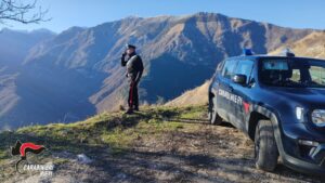 Nas di Viterbo e Rieti, scovati due allevamenti di bovini con animali non tracciati
