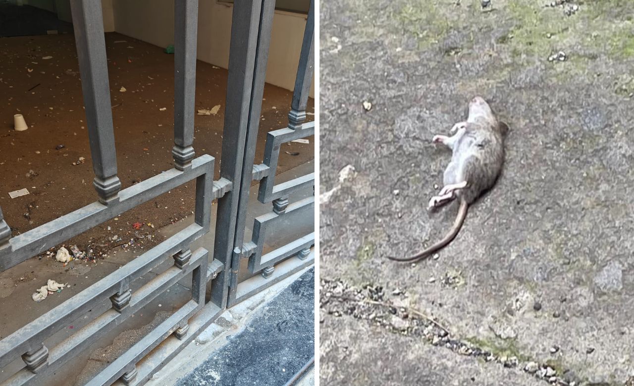 Viterbo – Vetrine abbandonate al Corso, i residenti: “Topi entrano ed escono, il Comune intervenga”