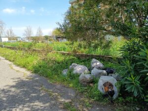 Santa Marinella – Pugno duro Tidei: “Abbandono rifiuti? Tolleranza zero”