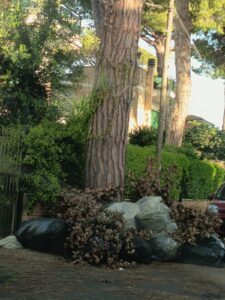 Immagine WhatsApp 2025-04-22 ore 15.12.57-15deb4d6