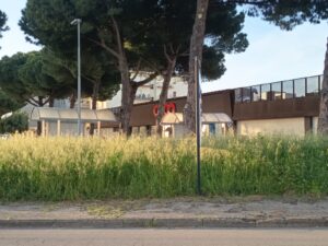 Immagine WhatsApp 2025-04-22 ore 15.12.57-41f3d1f2