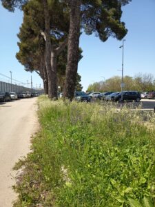 Immagine WhatsApp 2025-04-22 ore 15.12.57-90f43f4b