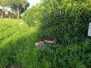 Immagine WhatsApp 2025-04-22 ore 15.12.57-cce15b6a