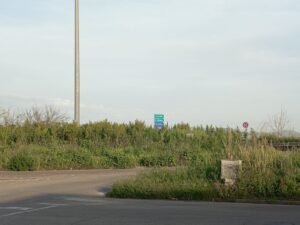 Immagine WhatsApp 2025-04-22 ore 15.12.57-d5738c2e