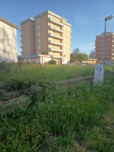 Immagine WhatsApp 2025-04-22 ore 15.12.57-dd910523