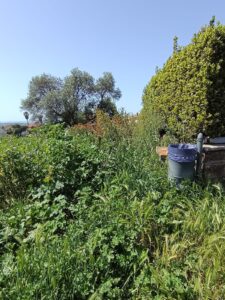 Immagine WhatsApp 2025-04-22 ore 15.12.58-7c4f1389