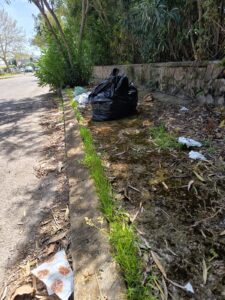 Immagine WhatsApp 2025-04-22 ore 15.12.58-87577f80