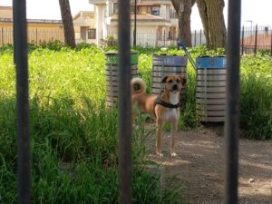 Immagine WhatsApp 2025-04-22 ore 15.12.59-98e42526