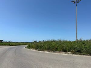 Immagine WhatsApp 2025-04-22 ore 18.23.04-048fcf25