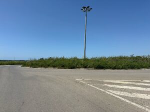 Immagine WhatsApp 2025-04-22 ore 18.23.04-c7260b26