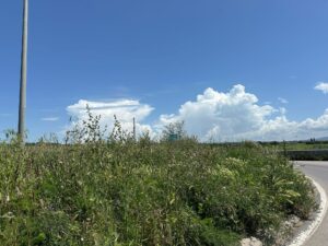 Immagine WhatsApp 2025-04-22 ore 18.23.05-944f7933