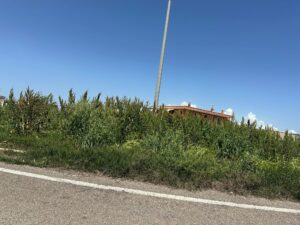 Immagine WhatsApp 2025-04-22 ore 18.23.06-5e7a2d2c