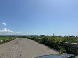 Immagine WhatsApp 2025-04-22 ore 18.23.06-8e15405f