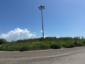 Immagine WhatsApp 2025-04-22 ore 18.23.07-0434af87