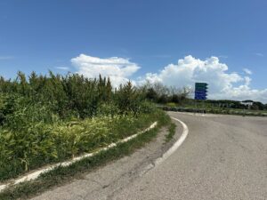 Immagine WhatsApp 2025-04-22 ore 18.23.07-449f0de9