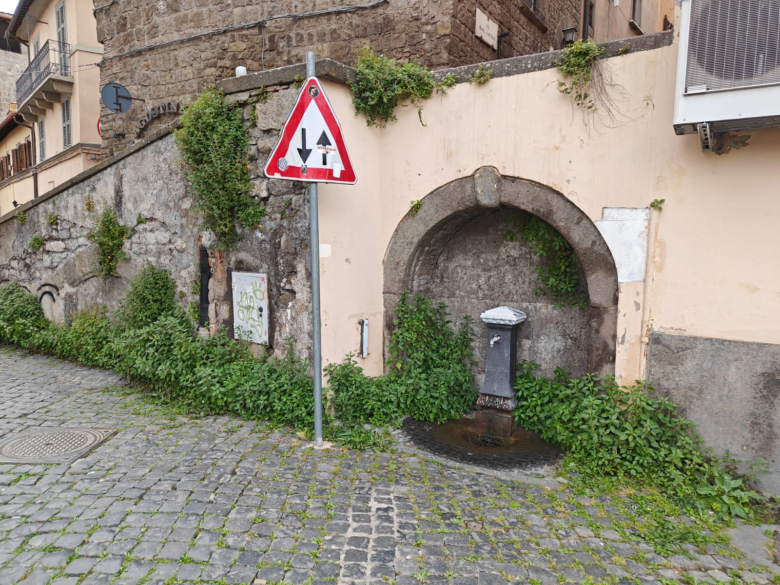 Viterbo – Centro storico, “Aspettando San Pellegrino in Fiore” tra erba e degrado (FOTO)