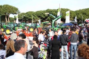 Tarquinia – Fratelli d’Italia: “Troncarelli all’inaugurazione della fiera come vicesegretaria regionale del PD, eravamo forse alla Festa dell’Unità?”