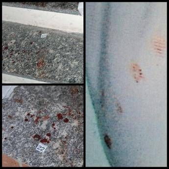 Caso Garlasco, la dinamica dell’omicidio di Chiara Poggi: “Assassino non scende le scale e ha le mani insanguinate”