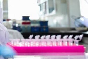 Tumori, nel Dna spazzatura molecole alleate: lo studio Italia-Usa