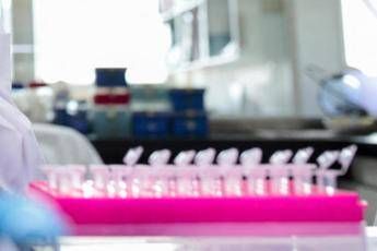 Tumori, nel Dna spazzatura molecole alleate: lo studio Italia-Usa