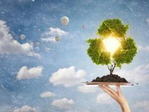 Trentino Alto Adige, Marche e Toscana regine della transizione ecologica