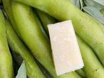 Favismo per 400mila italiani, rischi anche da farmaci e infezioni