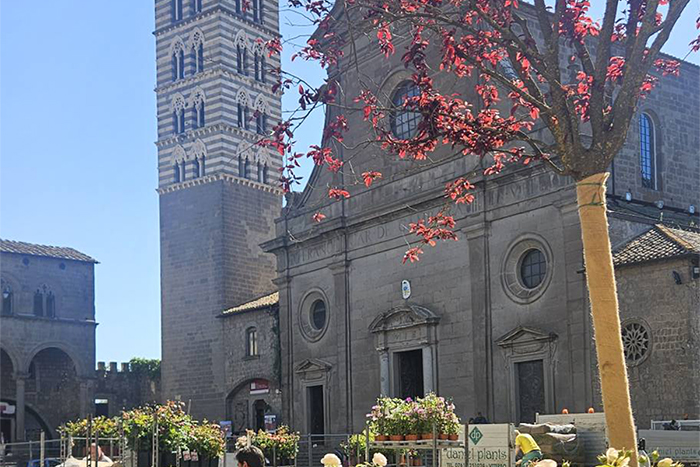 Viterbo – Al via San Pellegrino in fiore, il centro storico “sboccia” in un tripudio di fiori (FOTO)