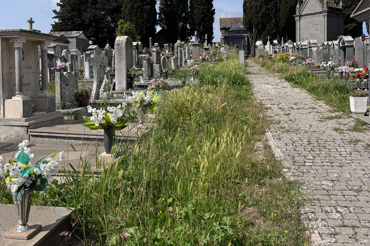Montefiascone – Cittadini in protesta per il cimitero: “Erba alta 50 centimetri, una vergogna”