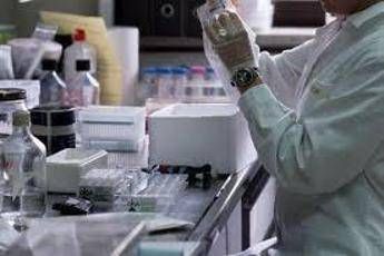 Tumori, biopsia liquida e su tessuti: cura mirata su doppio test migliora sopravvivenza