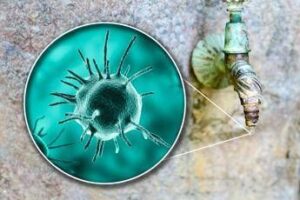 Malattie rare, Sitrac: “Non accessibile farmaco approvato in cheratite da Acanthamoeba”