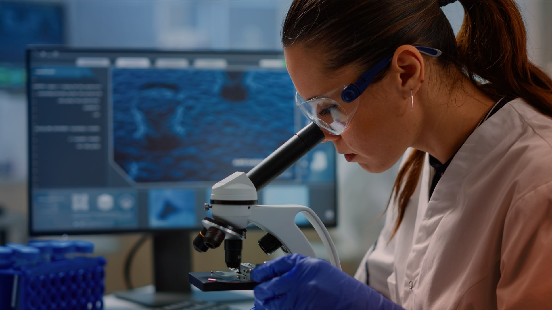 Fonti rinnovabili e farmaceutica: Federlazio incontra la municipalità cinese di Chongqing