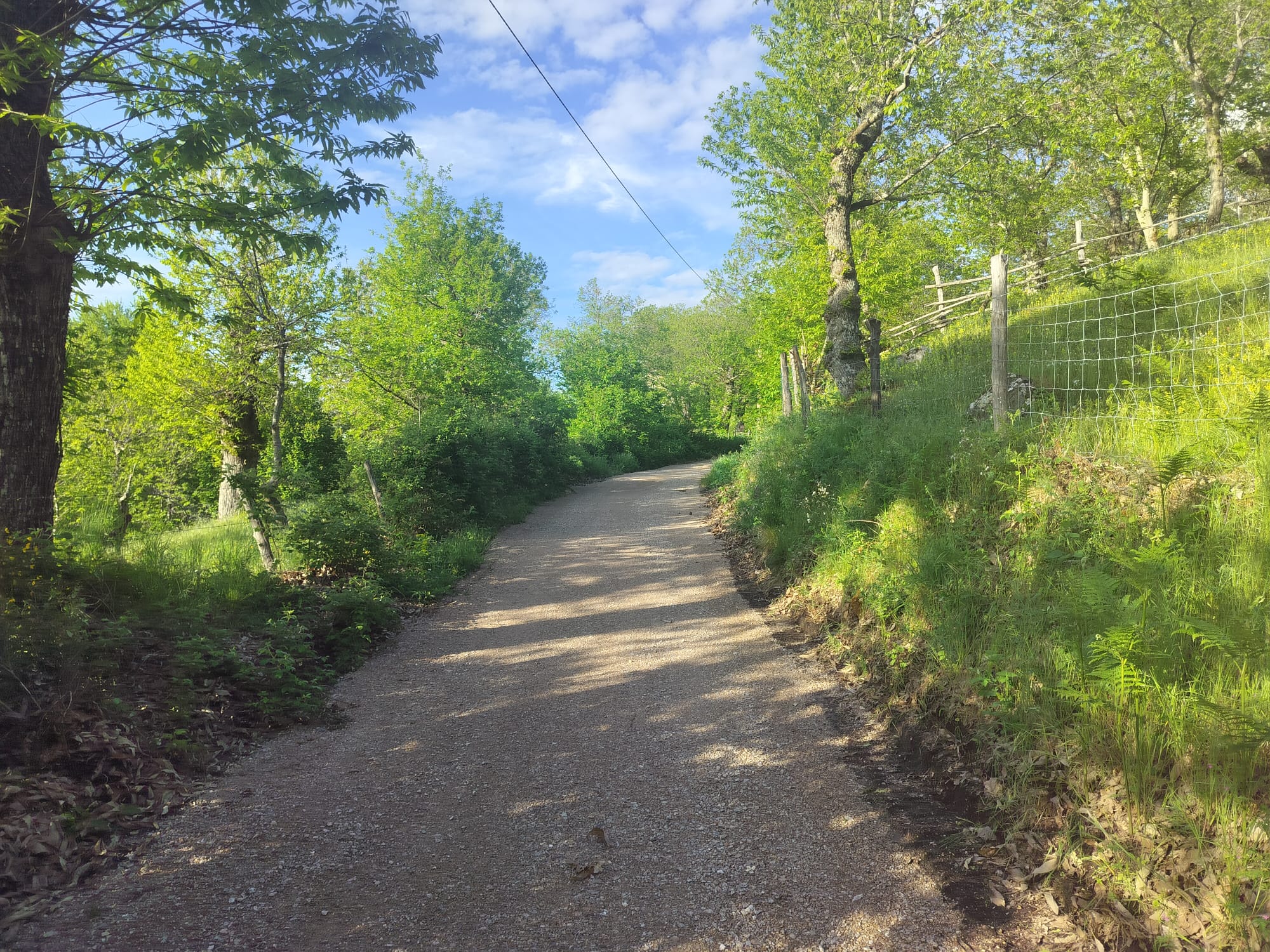 Monte Amiata – Consorzio strade Arcidosso, realizzati 80mila euro di lavori