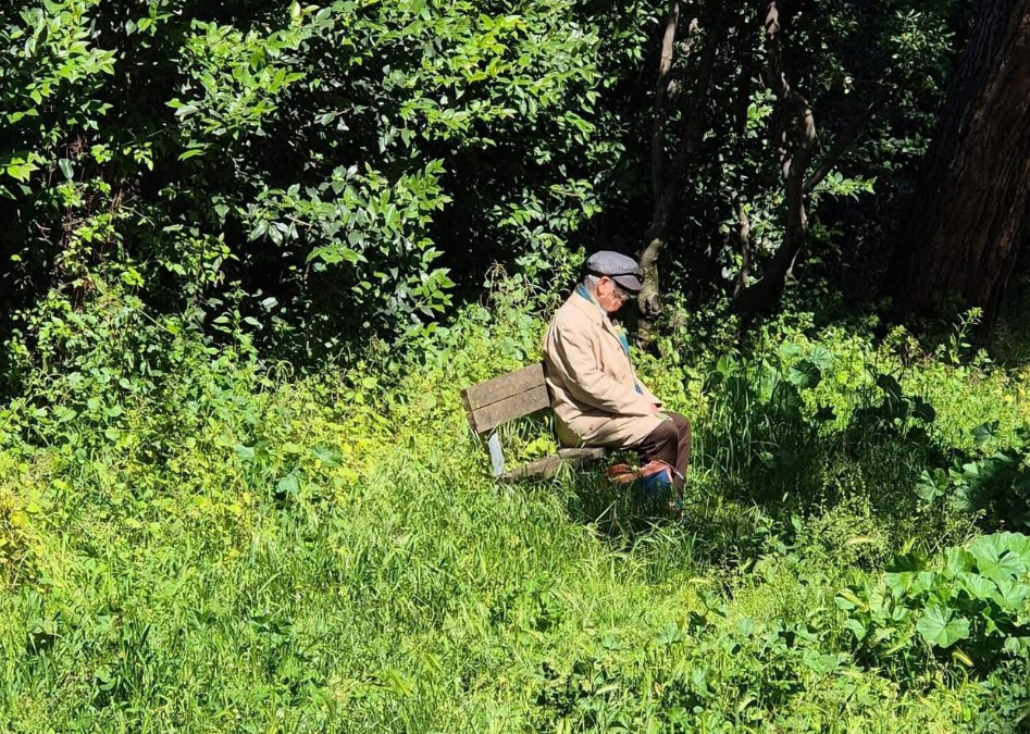 Viterbo – Terza età e fasce deboli, Ciambella: “Dove sono finite le politiche comunali per gli anziani?”