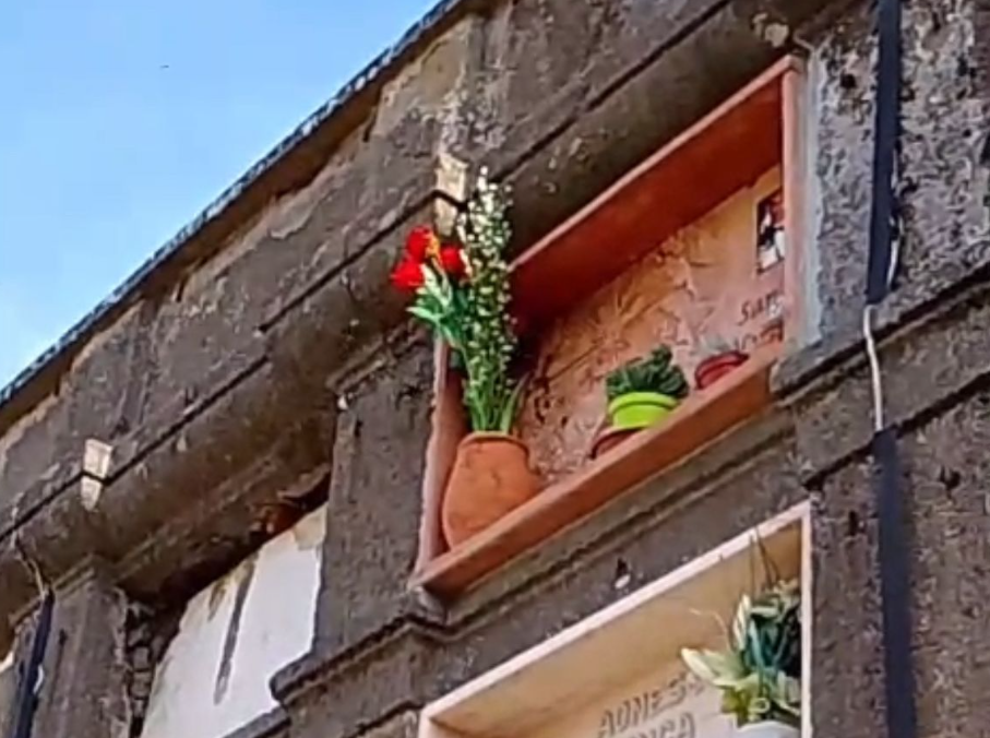 Acquapendente -“Al cimitero tombe invase da vespe, Comune non risponde nemmeno alle PEC”