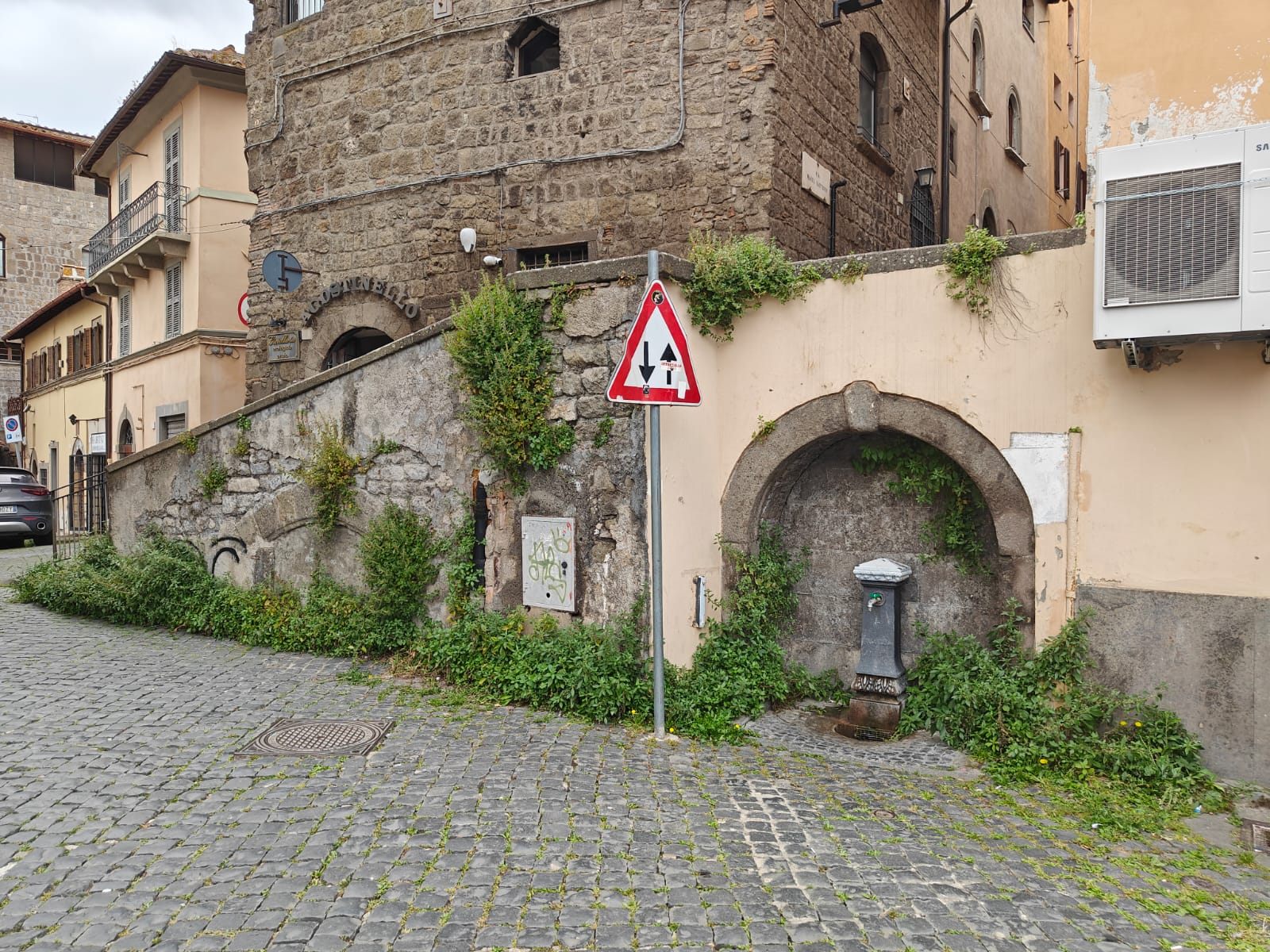 Viterbo – Assegnato l’appalto del verde pubblico: oltre 2,2 milioni suddivisi in tre lotti